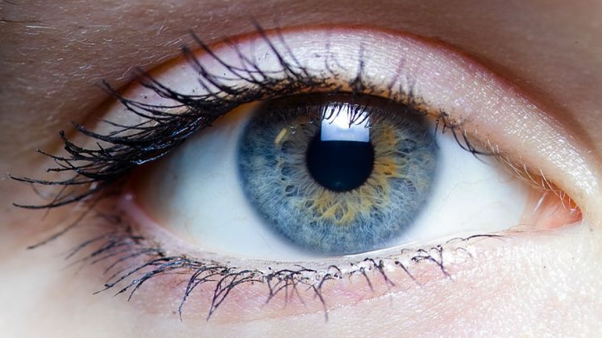Китайские ученые научились выращивать глазной хрусталик